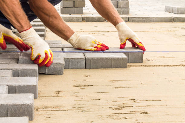 Best Professional Driveway Pavers  in Walnut Hill, TN