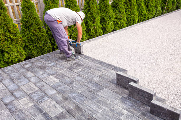 Best Driveway Pavers Contractor  in Walnut Hill, TN