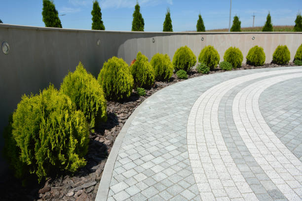 Best Decorative Driveway Pavers  in Walnut Hill, TN