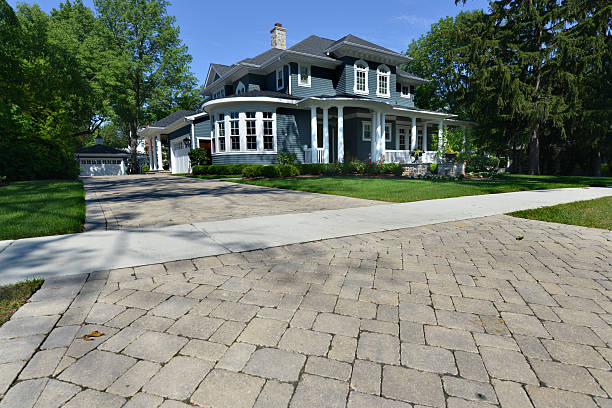 Best Driveway Paving Contractor  in Walnut Hill, TN