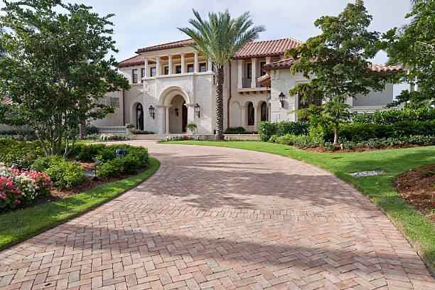Best Driveway Repair Near Me  in Walnut Hill, TN
