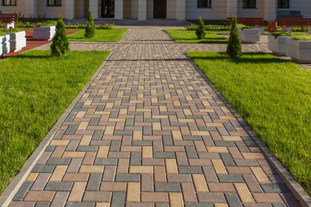 Best Best Driveway Pavers  in Walnut Hill, TN