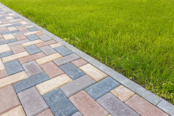 Best Brick Driveway Pavers  in Walnut Hill, TN